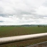 Wold View Seamer