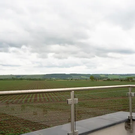 Wold View