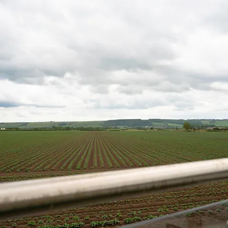 Wold View Seamer